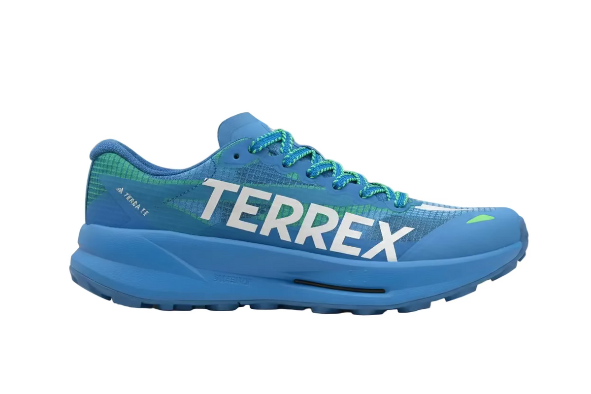 Adidas Terrex Agravic TT Bleu
