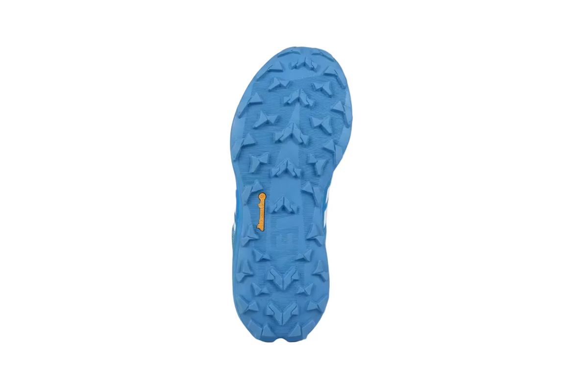 Adidas Terrex Agravic TT Bleu